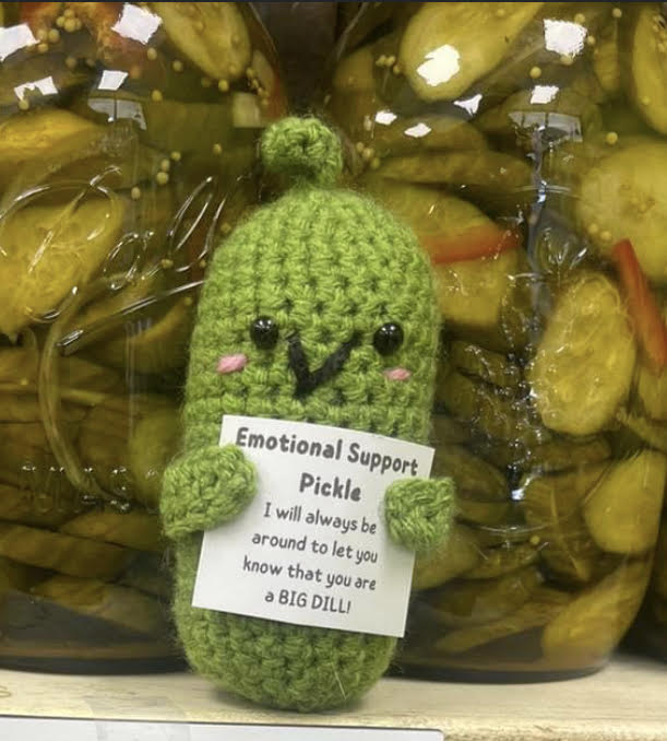 The Emotional Support Pickle – ShopKesa